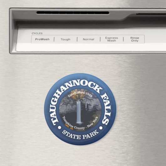 Taughannock Falls SP Magnet (In Situ (Geschirrspüler))