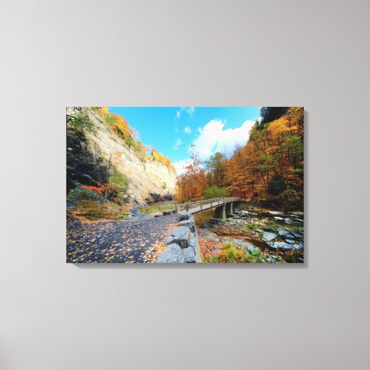 Taughannock Falls Staat Park Leinwanddruck (Vorderseite)