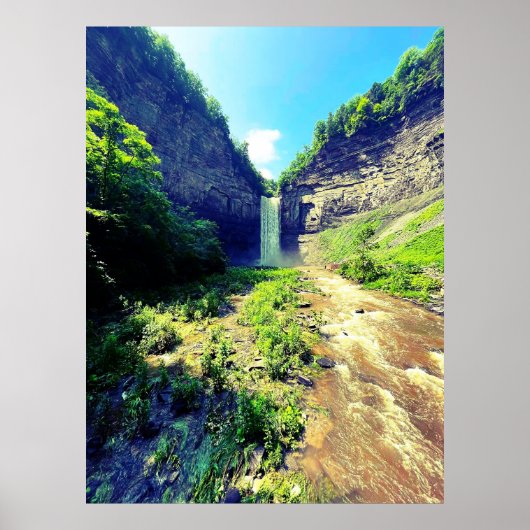 TAUGHANNOCK FALLT ITHACA NEW YORK POSTER (Vorne)