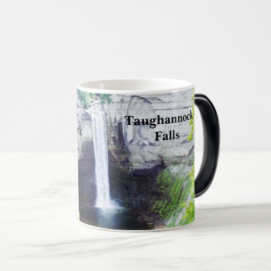 TAUGHANNOCK FÄLLT ITHACA Tasse (VorderseiteRechts)