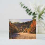 Taughannock fällt Postkarte (Stehend Vorderseite)