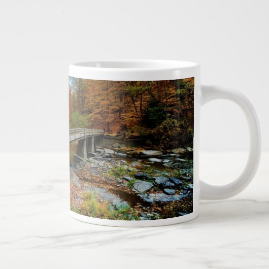Taughannock fällt Staats-Park Jumbo-Tasse (Rechts)
