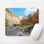 Taughannock fällt Staats-Park Mousepad (Mit Mouse)