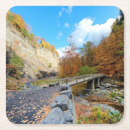 Taughannock fällt Staats-Park Rechteckiger Pappuntersetzer (Vorderseite)