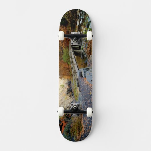 Taughannock fällt Staats-Park Skateboard (Vorderseite)