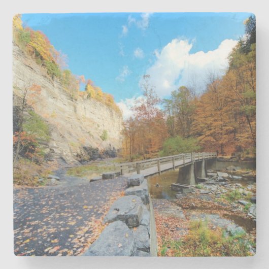 Taughannock fällt Staats-Park Steinuntersetzer (Vorderseite)