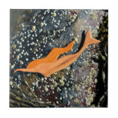 Taumelziegel Fliese (Vorderseite)