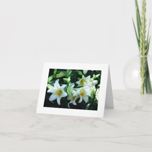 *TAUNT* SIE SIND LIEBT OSTKARTE KARTE (Vorderseite)