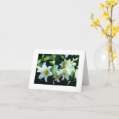 *TAUNT* SIE SIND LIEBT OSTKARTE KARTE (Gelbe Blume)