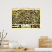 Taunton Massachusetts 1875 Antique Panoramabalkart Poster (Küche)