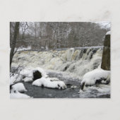 Taunton River Waterfall Postkarte (Vorderseite)