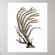 Taupe Sea Cornell No.2 Beach Wall Art