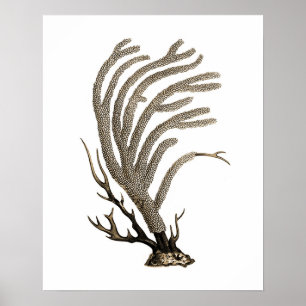 Taupe Sea Cornell No.2 Beach Wall Art Poster