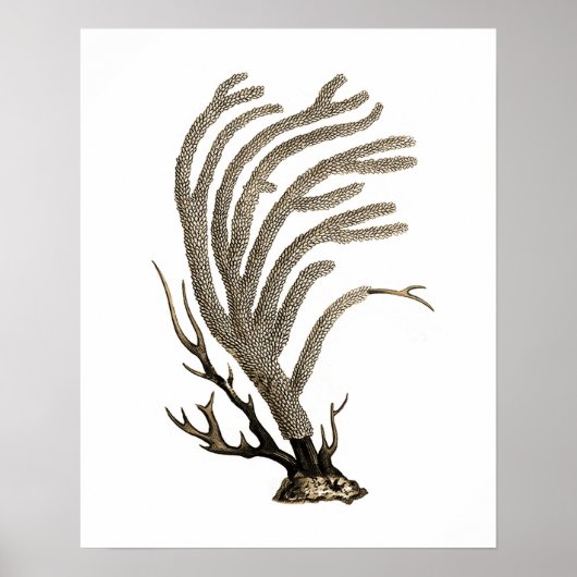 Taupe Sea Cornell No.2 Beach Wall Art Poster (Vorne)
