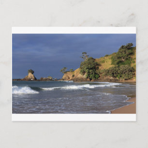 Tauranga Bay Pohutukawa Küste Neuseeland Postkarte