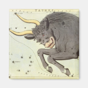 Taurus Bull, Vintager Sternbild Urania Magnet
