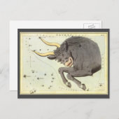 Taurus Bull, Vintager Sternbild Urania Postkarte (Vorne/Hinten)