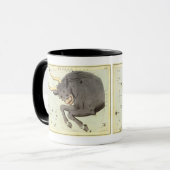 Taurus Bull, Vintager Sternbild Urania Tasse (Vorderseite Links)