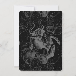 Taurus Constellation Hevelius Dekor 1690