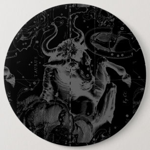 Taurus Constellation Hevelius Dekor 1690 Button