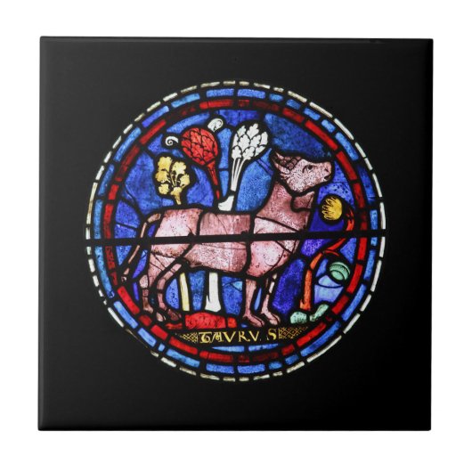 Taurus Festglas Chartres - Keramik Tile Fliese (Vorderseite)