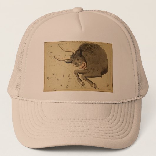 Taurus Hat Truckerkappe (Vorderseite)
