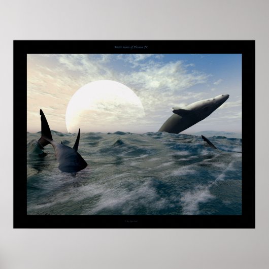 Taurus IV Poster (Vorne)