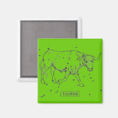 Taurus Magnet (Vorderseite/Rückseite)