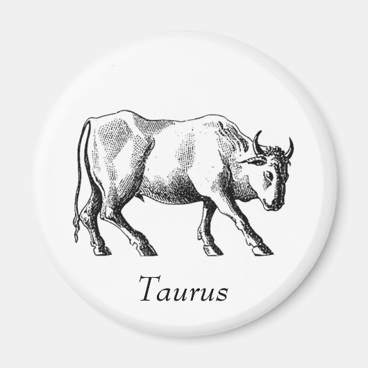 Taurus Magnet (Vorne)