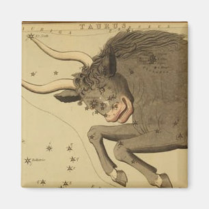 Taurus Magnet