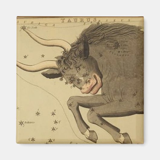 Taurus Magnet (Vorne)