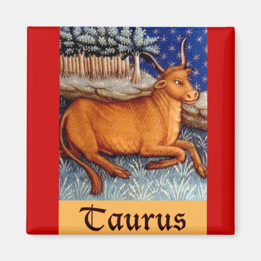 Taurus Magnet (Vorne)
