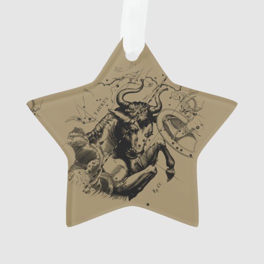 Taurus Map by Hevelius circa 1690 Ornament (Rückseite)