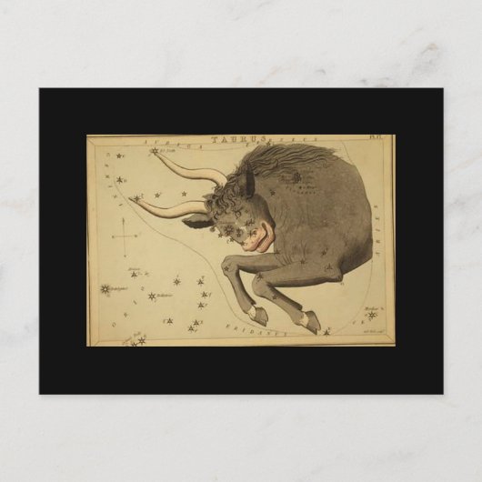 Taurus Postcard Postkarte (Vorderseite)