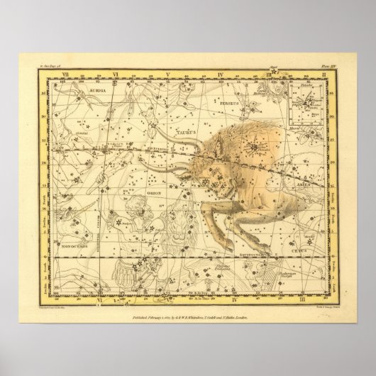 Taurus Poster (Vorne)