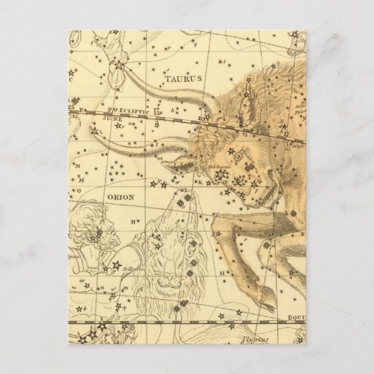 Taurus Postkarte (Vorderseite)