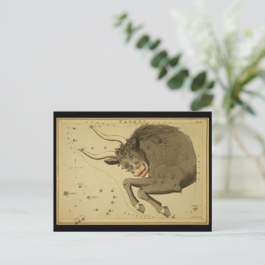 Taurus Postkarte (Stehend Vorderseite)