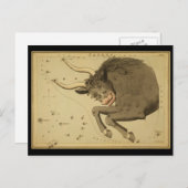 Taurus Postkarte (Vorne/Hinten)