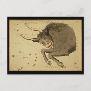 Taurus Postkarte