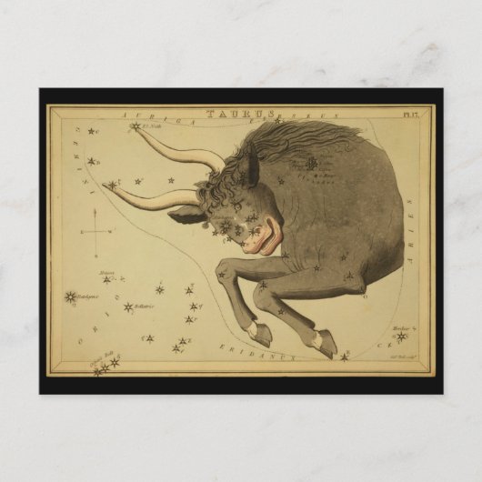 Taurus Postkarte (Vorderseite)