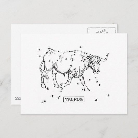 Taurus Postkarte (Vorne/Hinten)