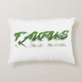 Taurus Reflection Dekokissen