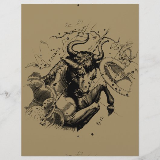 Taurus Signature Constellation Hevelius ca. 1690 (Vorderseite)