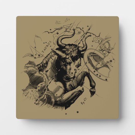 Taurus Signature Constellation Hevelius ca. 1690 Fotoplatte (Vorderseite)