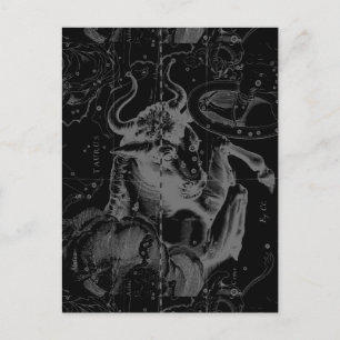 Taurus Signature Constellation Hevelius ca. 1690 Postkarte