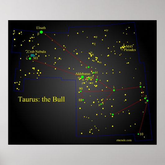 Taurus the Bull constellation Poster (Vorne)