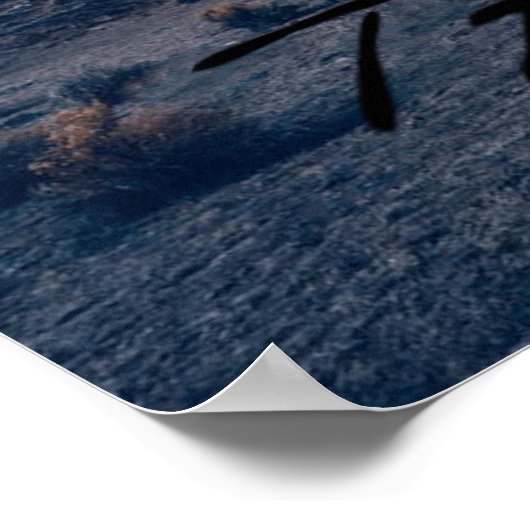 TAURUS THE BULL POSTER (Ecke)