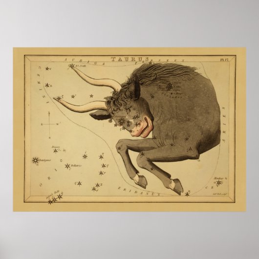 Taurus - Vintages Zeichen des Zodiakabbildes Poster (Vorne)