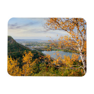 Täuschung u. Birken-Panorama-Magnet Magnet