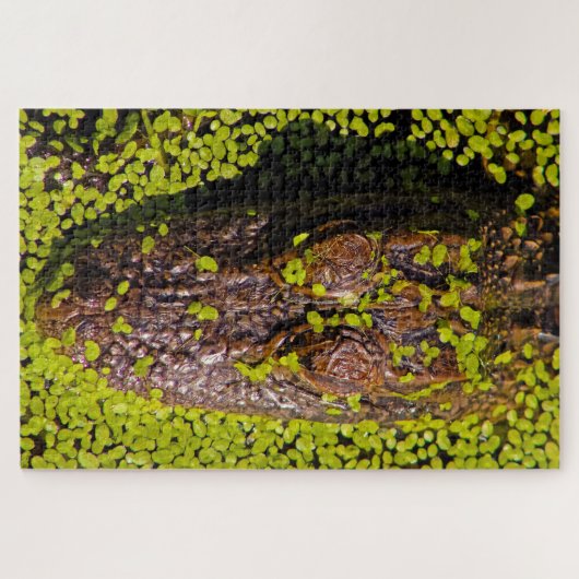 Tausend Plusstücke des Alligators Puzzle (Horizontal)